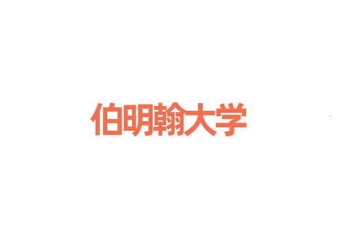 伯明翰大学