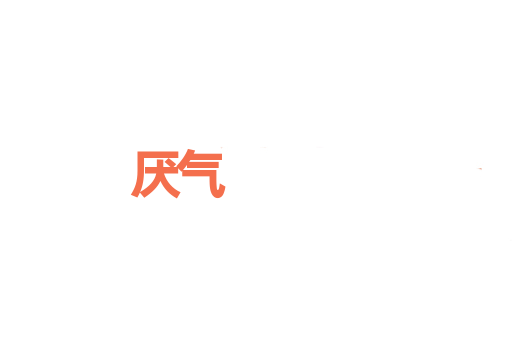厌气