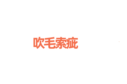 吹毛索疵