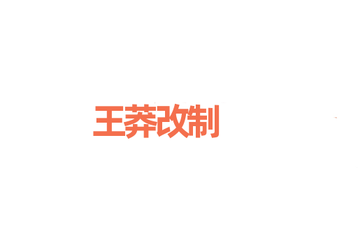 王莽改制