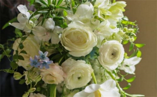 2026年农历四月十一领证好不好 今日登记领证好吗 2026年农历四月十一领证好不好 今日登记领证好吗