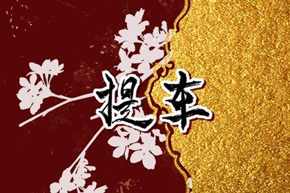 2026年03月01日是不是提车吉日 买新车吉利吗