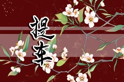2026年01月16日提车好吗 提车吉利吗